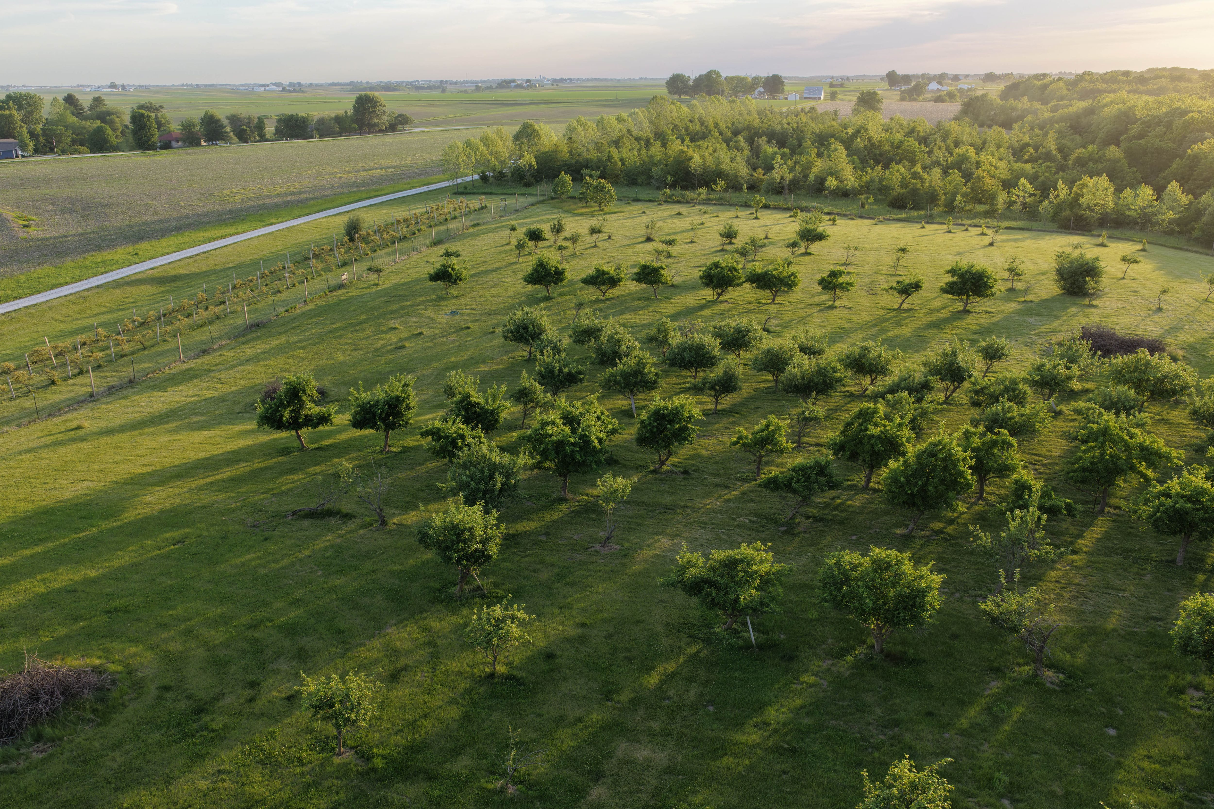 Listing Photo: Washington County Iowa Recreational Land For Sale-41